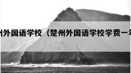 楚州外国语学校（楚州外国语学校学费一年多少）