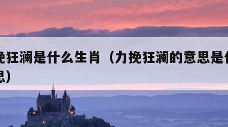 力挽狂澜是什么生肖（力挽狂澜的意思是什么意思）