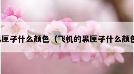 黑匣子什么颜色（飞机的黑匣子什么颜色）