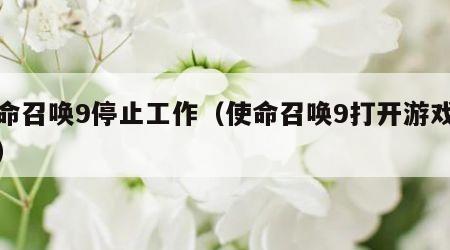 使命召唤9停止工作（使命召唤9打开游戏报错）