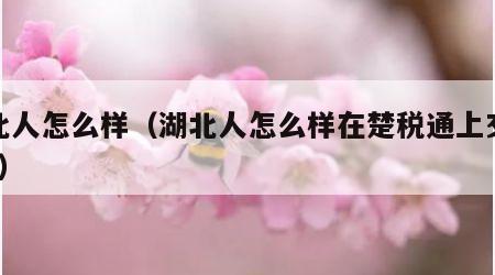湖北人怎么样（湖北人怎么样在楚税通上交社保?）
