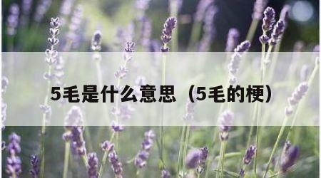 5毛是什么意思（5毛的梗）