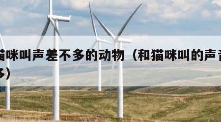 和猫咪叫声差不多的动物（和猫咪叫的声音差不多）
