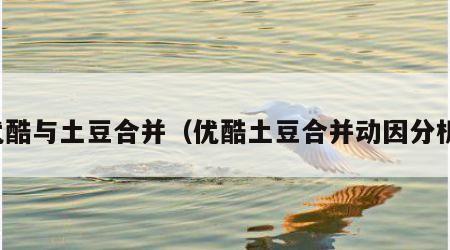 优酷与土豆合并（优酷土豆合并动因分析）