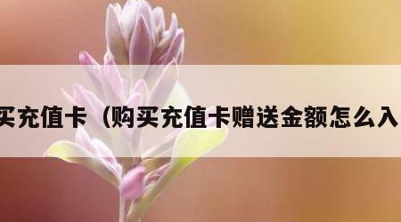 购买充值卡（购买充值卡赠送金额怎么入账）