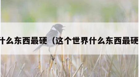 什么东西最硬（这个世界什么东西最硬）