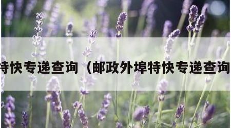 特快专递查询（邮政外埠特快专递查询）