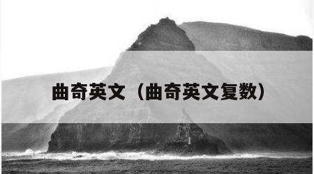 曲奇英文（曲奇英文复数）