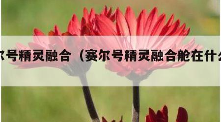 赛尔号精灵融合（赛尔号精灵融合舱在什么位置）