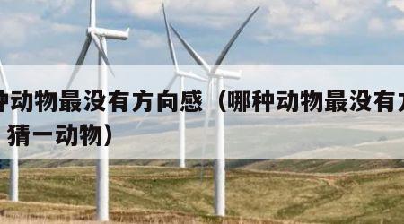 哪种动物最没有方向感（哪种动物最没有方向感? 猜一动物）