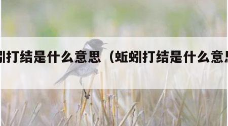 蚯蚓打结是什么意思（蚯蚓打结是什么意思图片）