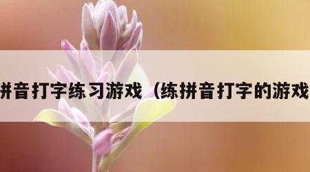 拼音打字练习游戏（练拼音打字的游戏）