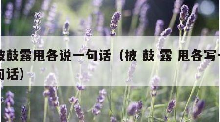 披鼓露甩各说一句话（披 鼓 露 甩各写一句话）