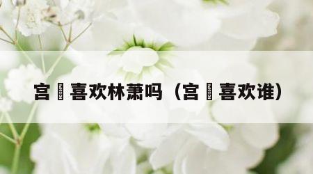 宫洺喜欢林萧吗（宫洺喜欢谁）