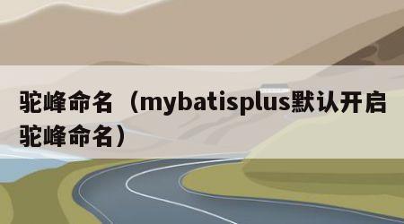 驼峰命名（mybatisplus默认开启驼峰命名）