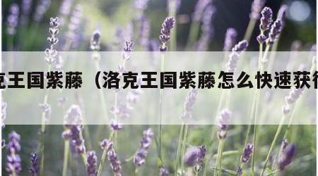洛克王国紫藤（洛克王国紫藤怎么快速获得大量）