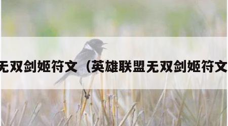 无双剑姬符文（英雄联盟无双剑姬符文）