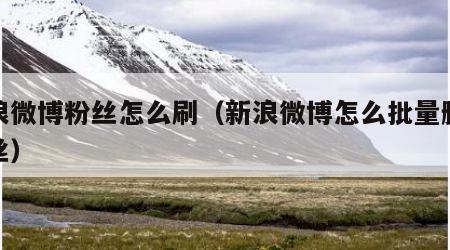 新浪微博粉丝怎么刷（新浪微博怎么批量删除粉丝）