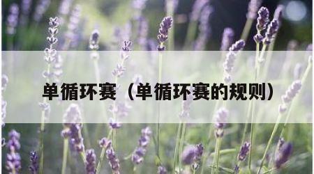 单循环赛（单循环赛的规则）
