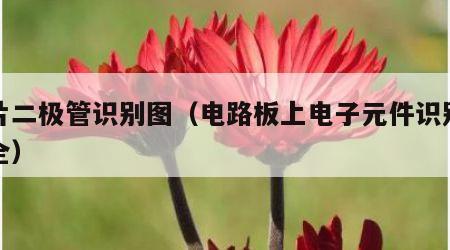 贴片二极管识别图（电路板上电子元件识别图大全）