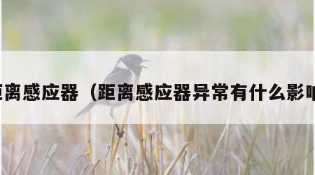 距离感应器（距离感应器异常有什么影响）