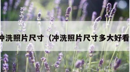 冲洗照片尺寸（冲洗照片尺寸多大好看）