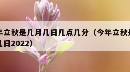 今年立秋是几月几日几点几分（今年立秋是几月几日2022）