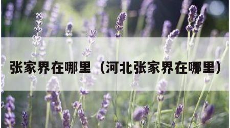 张家界在哪里（河北张家界在哪里）