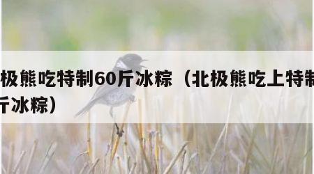 北极熊吃特制60斤冰粽（北极熊吃上特制60斤冰粽）