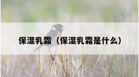 保湿乳霜（保湿乳霜是什么）