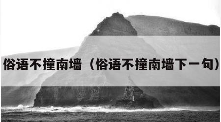 俗语不撞南墙（俗语不撞南墙下一句）