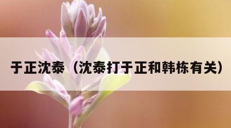 于正沈泰（沈泰打于正和韩栋有关）