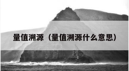 量值溯源（量值溯源什么意思）