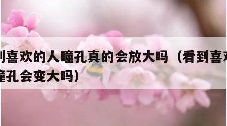 看到喜欢的人瞳孔真的会放大吗（看到喜欢的人瞳孔会变大吗）