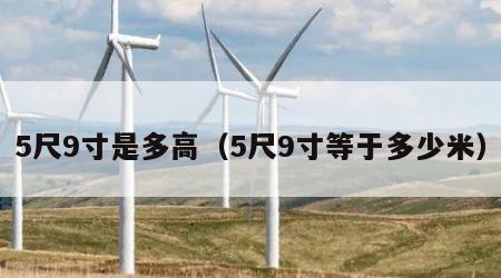 5尺9寸是多高（5尺9寸等于多少米）