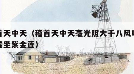 稽首天中天（稽首天中天毫光照大千八风吹不动端坐紫金莲）