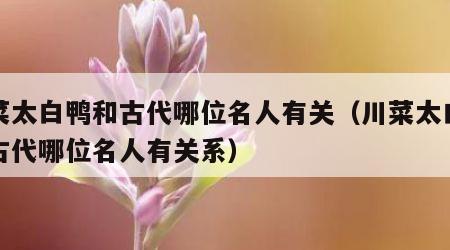 川菜太白鸭和古代哪位名人有关（川菜太白鸭和古代哪位名人有关系）