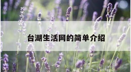 台湖生活网的简单介绍