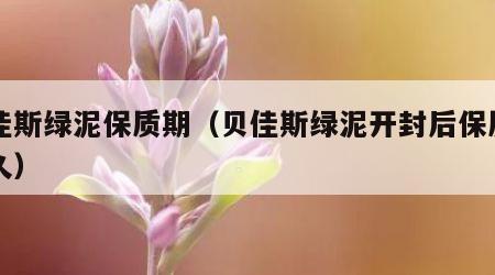贝佳斯绿泥保质期（贝佳斯绿泥开封后保质期多久）