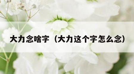 大力念啥字（大力这个字怎么念）