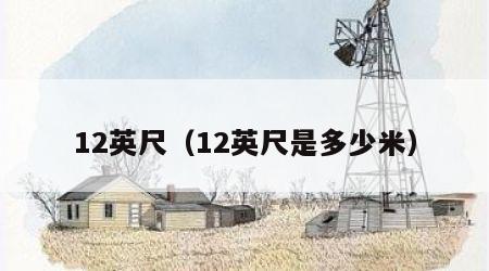 12英尺（12英尺是多少米）