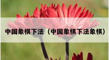 中国象棋下法（中国象棋下法象棋）
