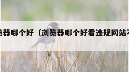 浏览器哪个好（浏览器哪个好看违规网站不会封）