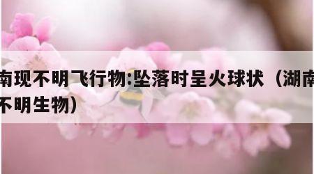湖南现不明飞行物:坠落时呈火球状（湖南发现不明生物）