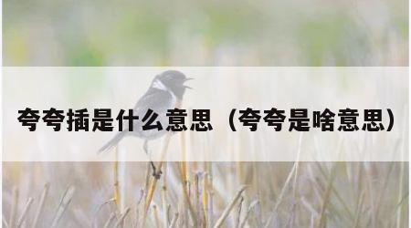 夸夸插是什么意思（夸夸是啥意思）