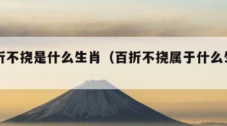 百折不挠是什么生肖（百折不挠属于什么生肖）