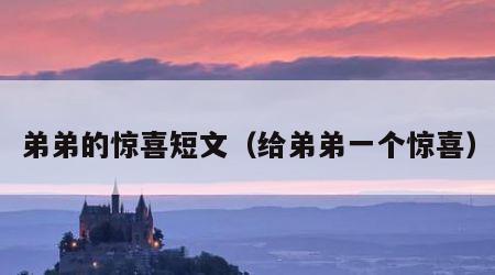弟弟的惊喜短文（给弟弟一个惊喜）