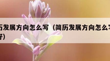 简历发展方向怎么写（简历发展方向怎么写比较好）