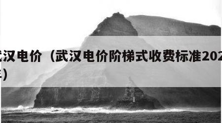 武汉电价（武汉电价阶梯式收费标准2023年）