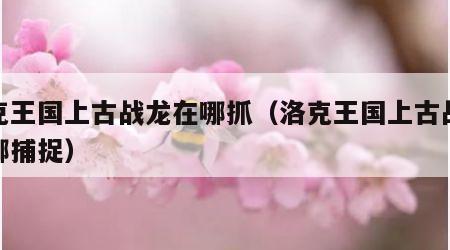 洛克王国上古战龙在哪抓（洛克王国上古战龙在哪捕捉）